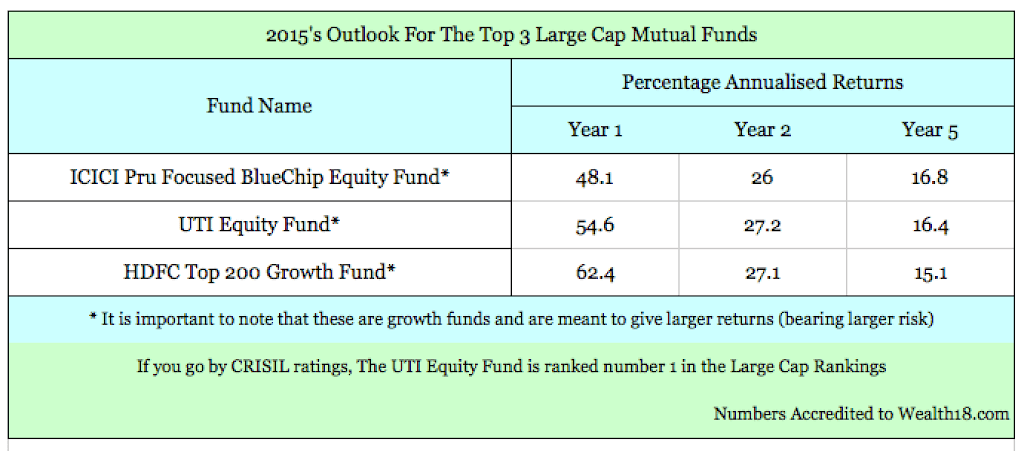 Your Large Cap Mutual Fund Picks For 2015